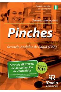 Pinches del SAS. Temario Comun y Test