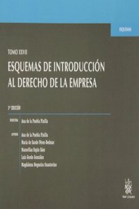 Esquemas de introduccion al derecho de la empresa, XXVII