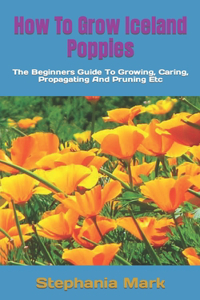 How To Grow Iceland Poppies