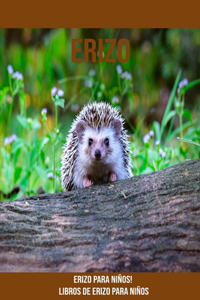 Erizo