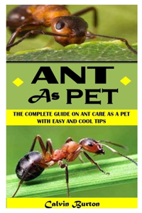 Ant as Pet