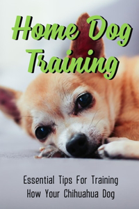 Home Dog Training