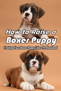 How to Raise a Boxer Puppy