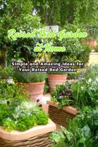 Raised Bed Garden at Home
