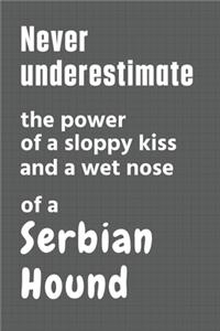 Never underestimate the power of a sloppy kiss and a wet nose of a Serbian Hound
