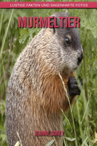 Murmeltier