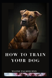 How to Train Your Dog