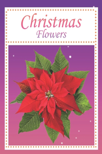 Christmas Flower