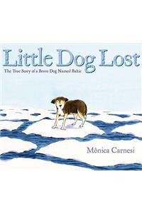 Little Dog Lost: The True Story of a Brave Dog Named Baltic