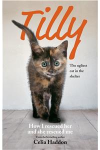 Tilly: The Ugliest Cat