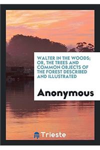 WALTER IN THE WOODS; OR, THE TREES AND C