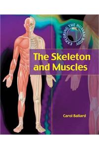 The Skeleton and Muscles