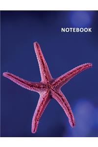 College Ruled Notebook
