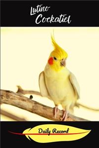 Lutino Cockatiel Daily Record