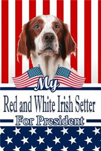 My Red and White Irish Setter for President