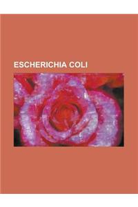 Escherichia Coli