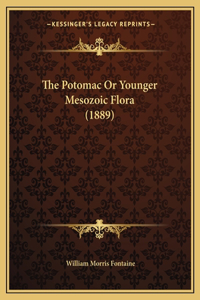 Potomac Or Younger Mesozoic Flora (1889)