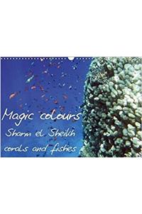 Magic Colours Sharm El Sheikh Corals and Fishes 2018