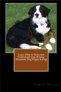 Learn How to Train and Understand your Bernese Mountain Dog Puppy & Dog