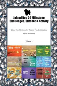 Jaland Dog 20 Milestone Challenges
