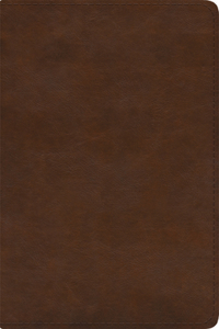 ESV Spanish/English Parallel Bible