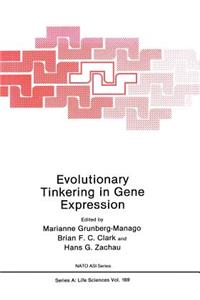 Evolutionary Tinkering in Gene Expression