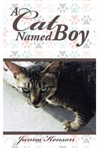 Cat Named Boy