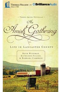 An Amish Gathering