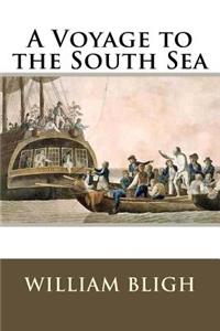 Voyage to the South Sea