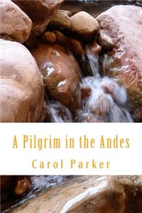 Pilgrim in the Andes