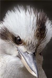Extreme Close-Up of a Kookaburra Australia Bird Journal