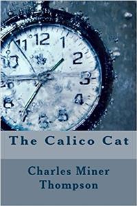 The Calico Cat