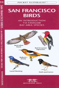 Seattle Birds