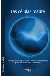 Las Celulas Madre