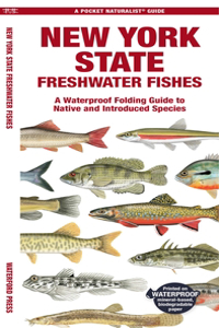 New York State Freshwater Fishes