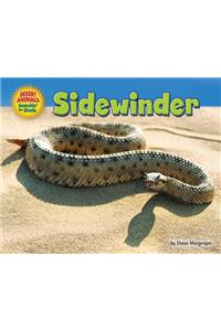 Sidewinder