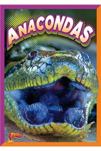 Anacondas