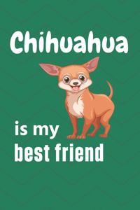 Chihuahua is my best friend