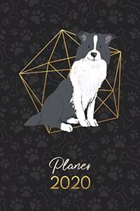 Planer 2020