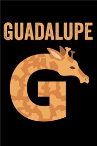 Guadalupe