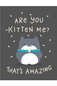 Are You Kitten Me? That's Amazing