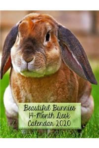 Beautiful Bunnies 14-Month Desk Calendar 2020