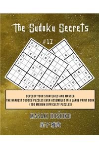 The Sudoku Secrets #17