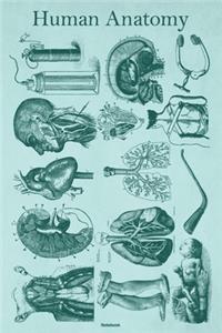 Human Anatomy Notebook