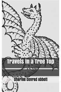Travels in a Tree Top