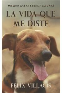 La vida que me diste