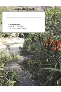 Aloe Trail Composition Notebook, College Ruled