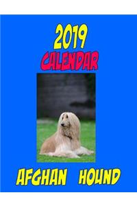 2019 Calendar Afghan Hound