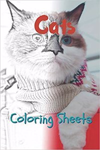 Cat Coloring Sheets