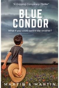 Blue Condor